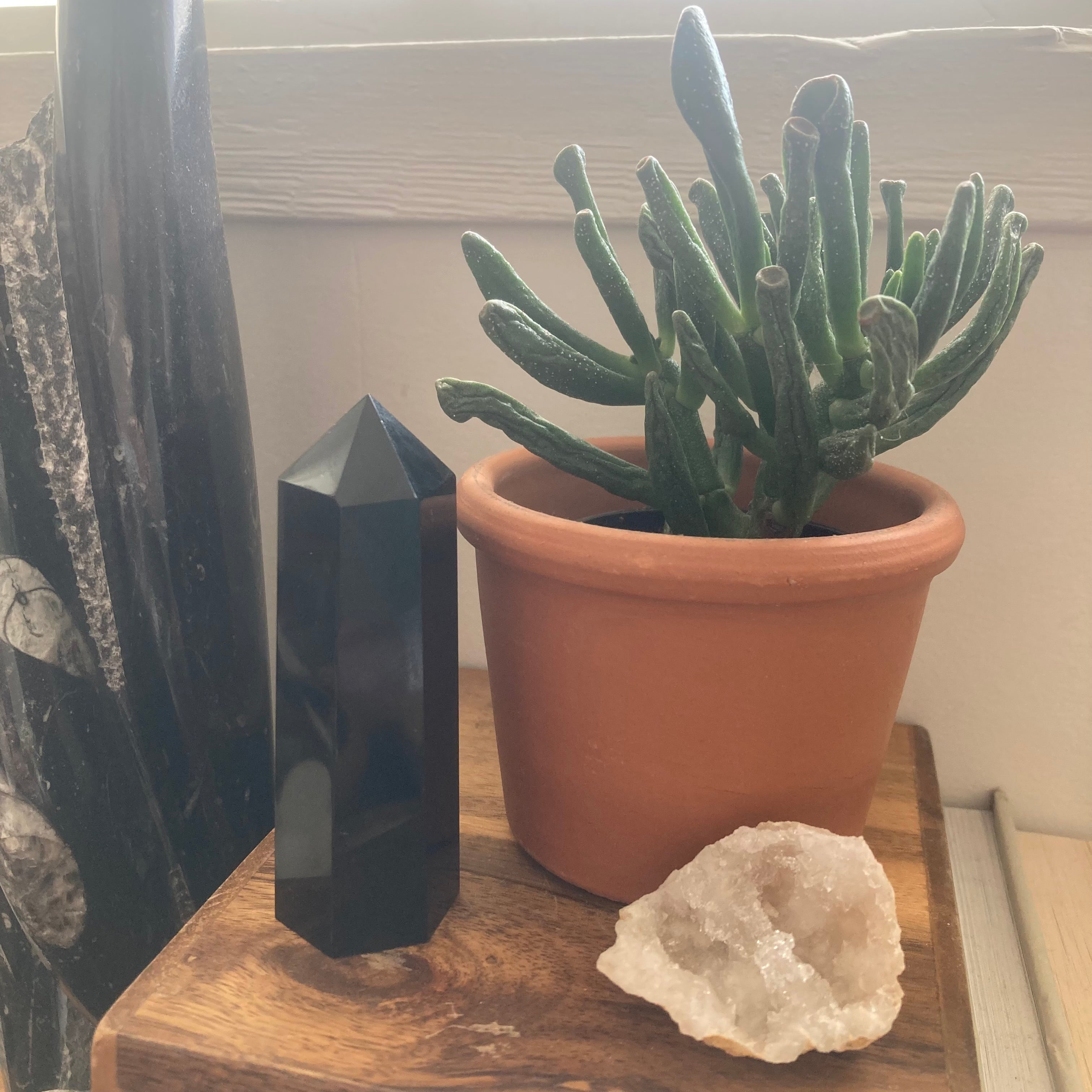 black obsidian crystal point tower with orthocera tower ogre ear jade plant in a terra cotta pot and a quartz geode sitting on a shelf 